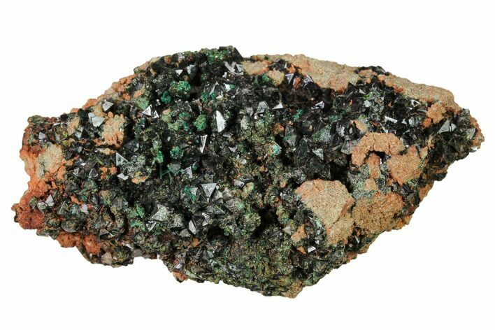 Deep-Green Libethenite Crystal Cluster #169822